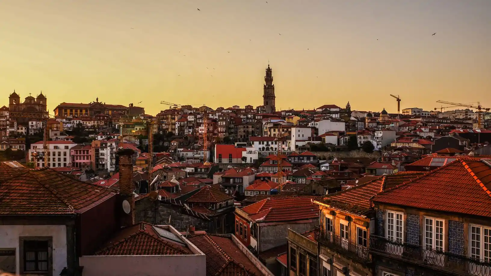 Canalizador no Porto e arredores: telhados do Porto e a Torre dos Clérigos ao fim da tarde